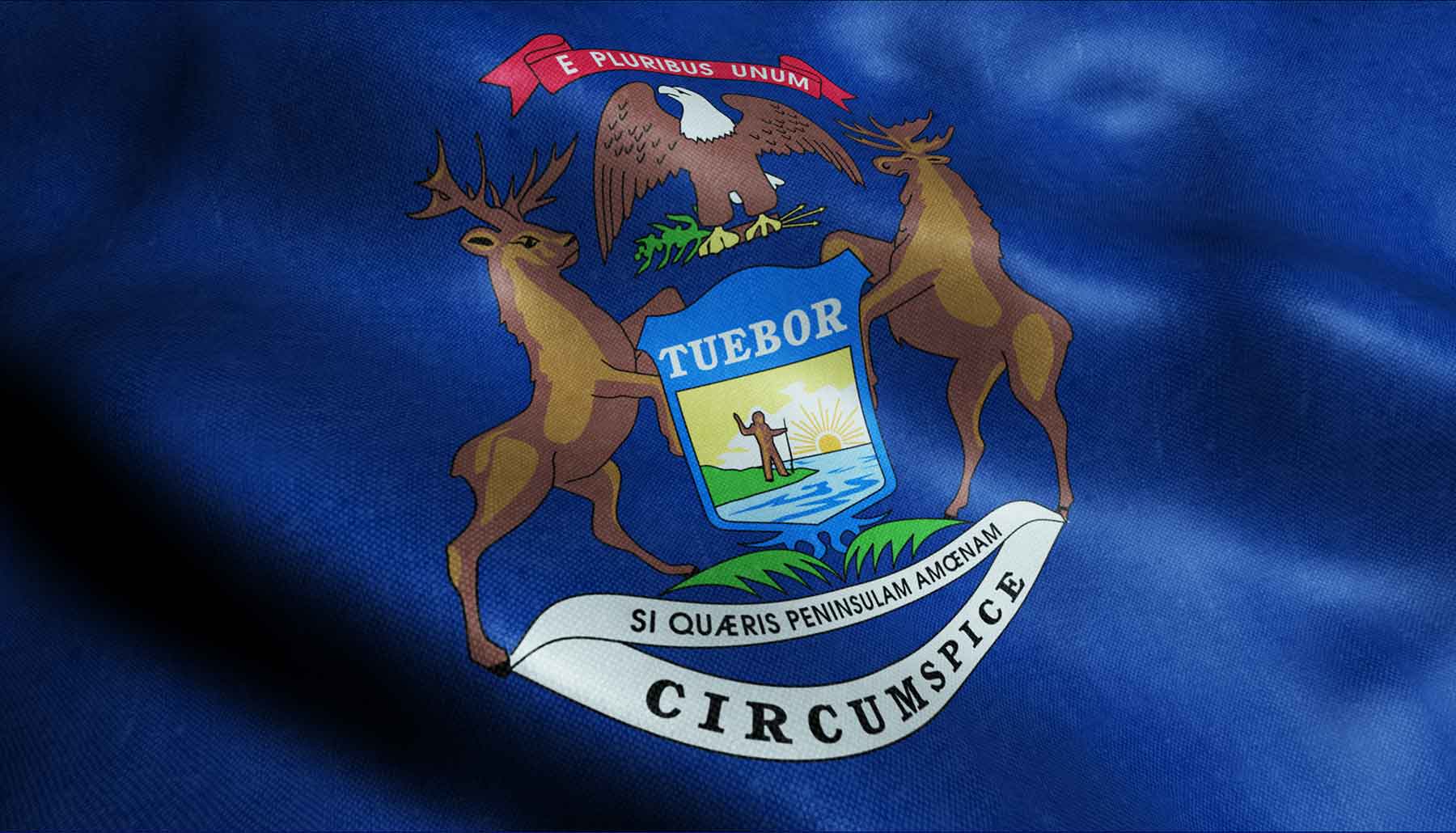 State of Michigan flag